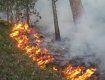 В этом году на Закарпатье зафиксировано в природных экосистемах 180 пожаров