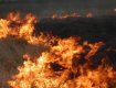 Очень часто сжигание сухостоя перерастает в крупномасштабные пожары