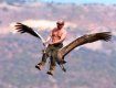 Путин перецеловался со всей фауной России и стал царем зверей