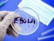 Восьмой зараженный вирусом Эбола госпитализирован в Мадридскую клинику