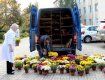 В ужгородском онкодиспансере под осень зацвели хризантемы