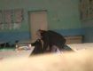 В Закарпатье скрытая камера сняла непорядочную учительницу