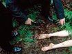 В Воловецком районе обнаружили тело мертвой молодой женщины
