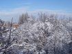 В Ужгороде на выходные выпал снег