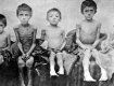 Парламент Португалії визнав Голодомор в Україні в 1932-33 роках геноцидом народу