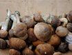 На ужгородских рынках торговля осенними грибами началась