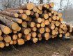 ЕС выступает против моратория на экспорт украинского леса