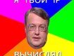 Геращенко угрожал тем, кто ставит «лайки» постам Шария в соцсетях