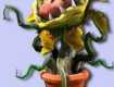 Ужгородська мерія - це гігантська зажерлива рослина