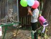 В зоопарке Одессы волки искусали девочку