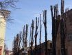 "Кошмар на улице Вязов", - возмущается ужгородка в Фейсбук