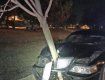 Поліцейські зупинили автомобіль, який рухався з деревом попереду