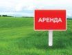 Поляки заинтересованы в аренде как минимум 500 га сельхозугодий в Закарпатье