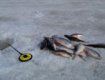 В Закарпатье запретили рыбачить зимой