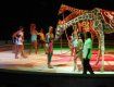 Популярний в Україні цирк замучив жирафа