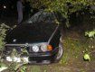 В Николаевской области легковой автомобиль врезался в дерево, в результате чего 2 человека погибло