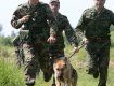 Пограничники с собакой задержали нелегалов в 100 метрах от границы Закарпатья