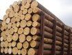 Порошенко пообещал отменить запрет на экспорт древесины