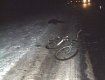 В Береговском районе ВАЗ-2107 снес велосипедиста по встречной полосе