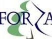 Проекты FORZA направлены на развитие лесного сектора Закарпатья