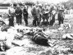 Предложено признать действия Польши в 1919-1951 годах геноцидом украинцев