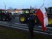На акцию вышли фермеры, пострадавших от санкций России на ввоз продуктов