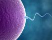 Переваги і недоліки тимчасових методів контрацепції
