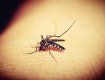 В Україні зафіксували випадок захворювання на малярію