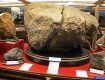 Кусок метеорита весом 164 грамма, ценой в 4500 долларов продают в Берегово