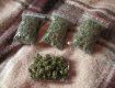 В доме нашли 28 граммов марихуаны и семена конопли весом 844 грамма