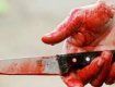 Експерти нарахували на тілі вбитого аж 15 ножових поранень