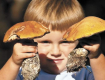 Предполагаемая причина отравления - отравление грибами