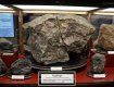 Известный метеорит "Княгиня" упал 160 лет назад