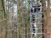 В Германии самоубийца 29 лет провисел на дереве