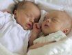 В Польше родились двойняшки от разных отцов: мальчик и девочка