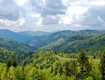 Полонина Руна – гірський масив, що розташований у Закарпатській області