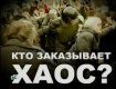 Экономический манифест выведет Украину из кризиса?