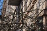 ПрАТ «Закарпаттяобленерго» заявляє, що не має відношення до робіт по вулиці Небесної Сотні в Ужгороді