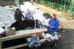 В Українських Карпатах рятують і лікують диких звірів-"мисливців"