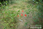 Вбиту жінку знайшли у лісосмузі на Сокальщині в сусідів Закарпаття