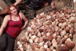 Врожаї білих грибів на Закарпатті шокують всю Україну