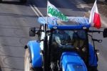Польские фермеры заблокировали движение фур через КПП "Краковец - Корчева"