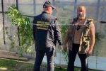 В Закарпатье обыск дома подозреваемого помог вывести его на чистую воду 