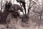 Фото 60-х років - скульптура в альпінарії Ужгорода
