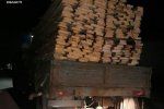 На Закарпатье патрульные остановили грузовик в котором обнаружили древесину без документов