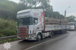 В Закарпатье перевозчик "левого" леса сам нарвался на неприятности