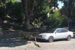В центре Ужгорода на тротуар рухнула гигантская ветка дерева