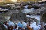 Поток мусора в уникальную горную реку Вича в Закарпатье угрожает краснокнижной рыбе