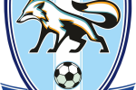 ФК "Минай" занял 5-е место в рейтинге логотипов футбольных клубов