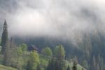 Отпуск в Закарпатье: Горные пейзажи, которые не уступают швейцарским